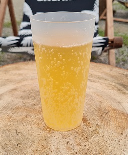 Apfelsaftschorle 0,5L